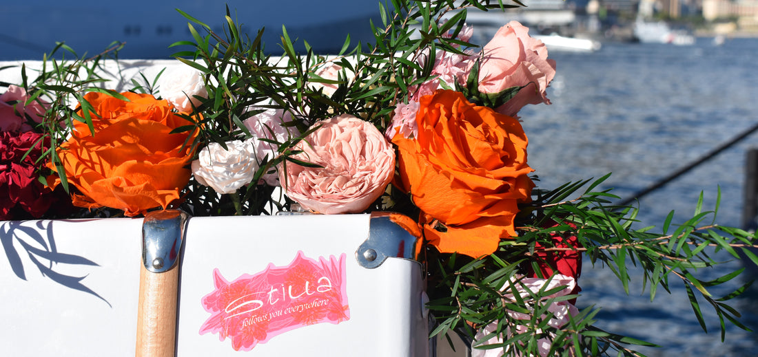 STILLA at the Monaco Yacht Show 2024: A Blossoming Success