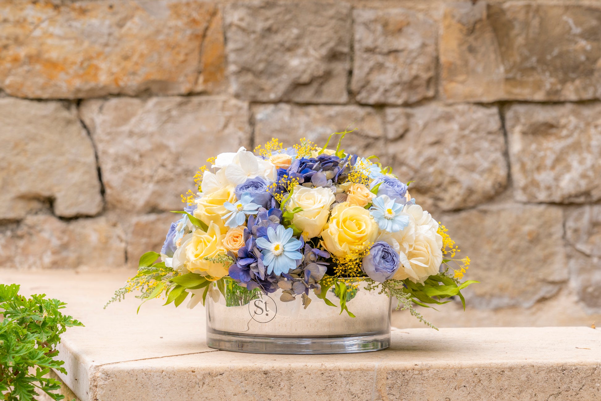 Evening Dive - Preserved Flower Arrangement - STILLA