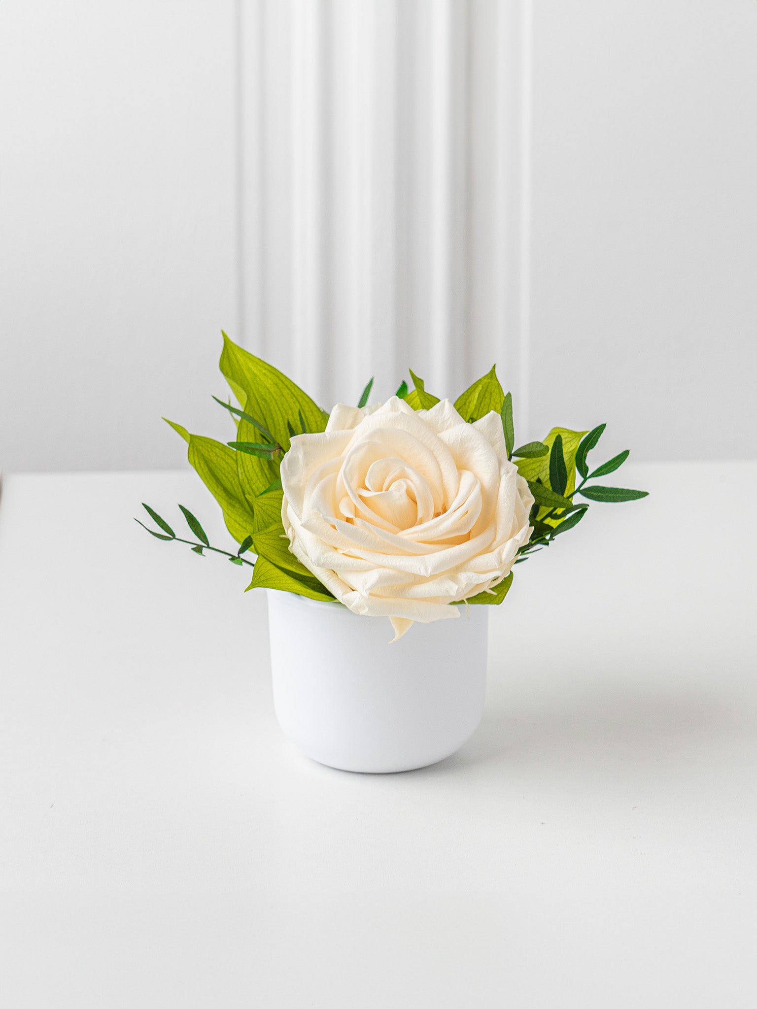 Blossom -  Eternal Rose Arrangement - STILLA