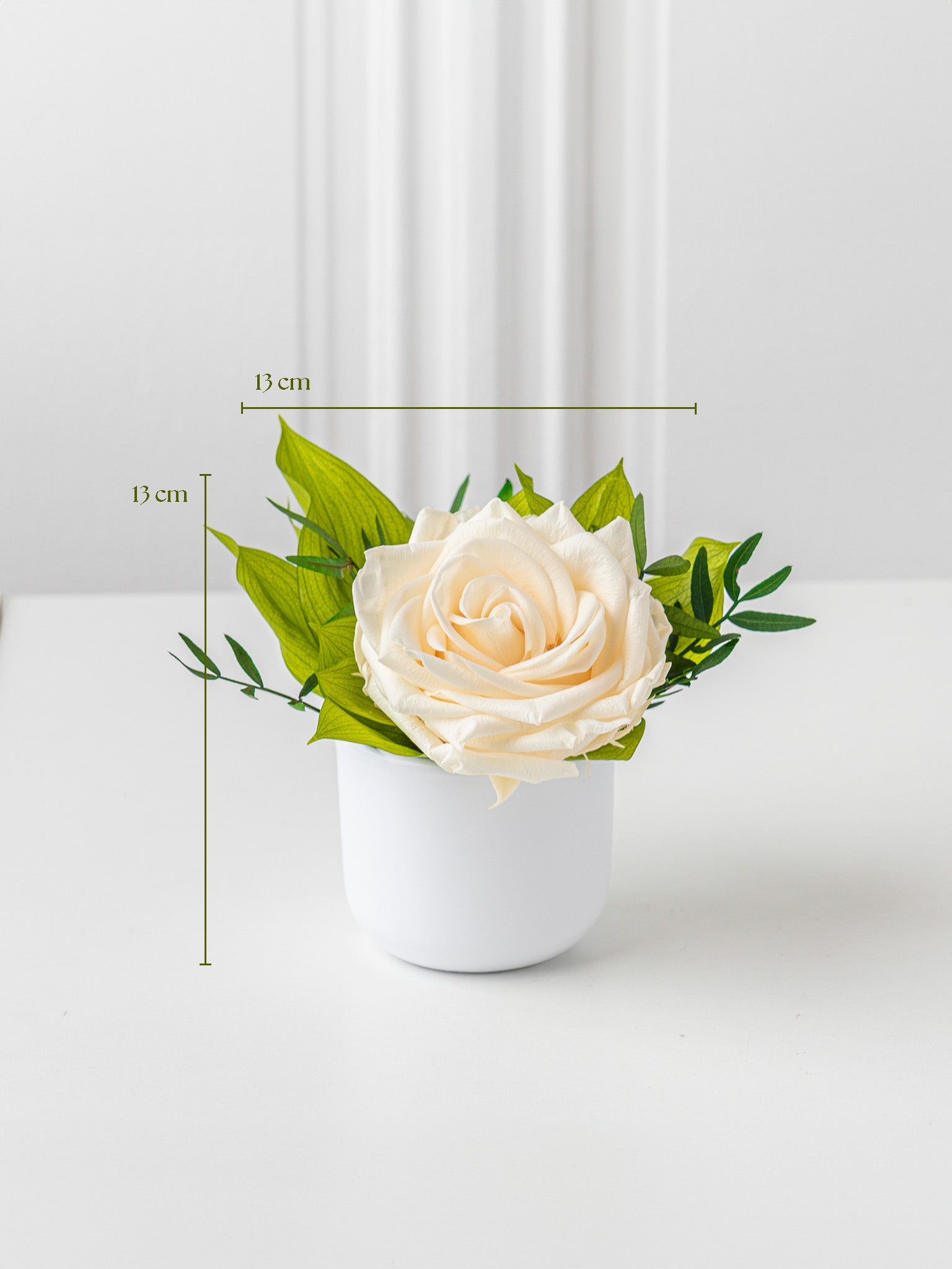 Blossom -  Eternal Rose Arrangement - STILLA