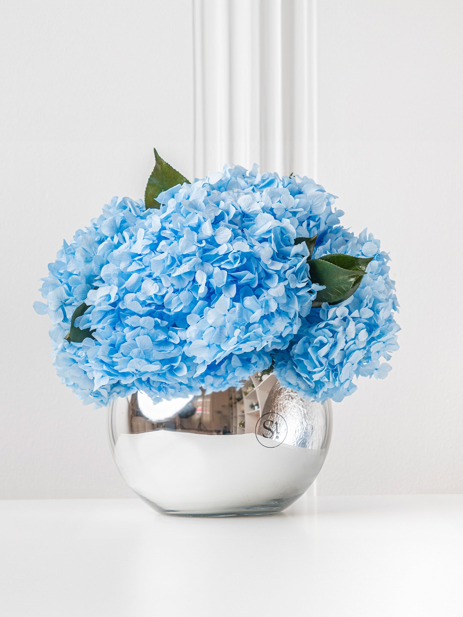 Whisper - Preserved Hydrangea Arrangement - STILLA