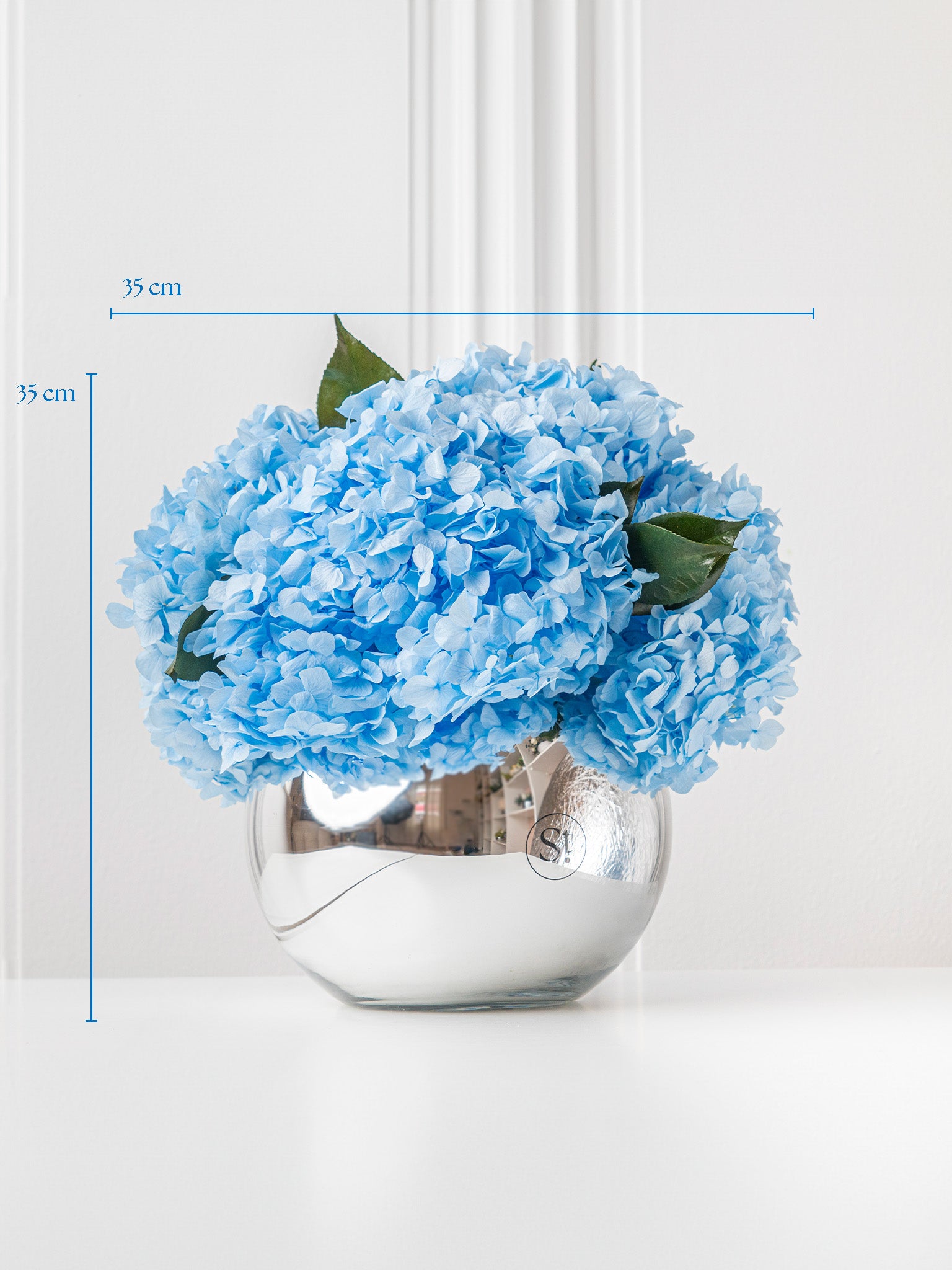 Whisper - Preserved Hydrangea Arrangement - STILLA