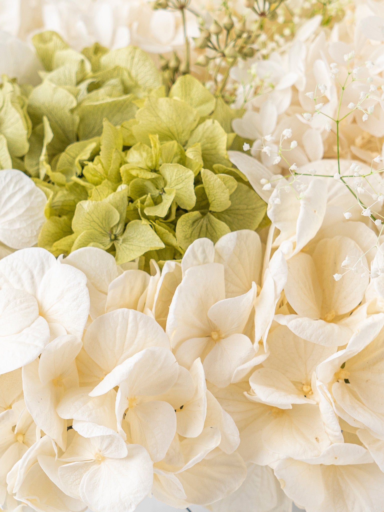 Fairy Dust - Preserved Hydrangea Arrangement - STILLA