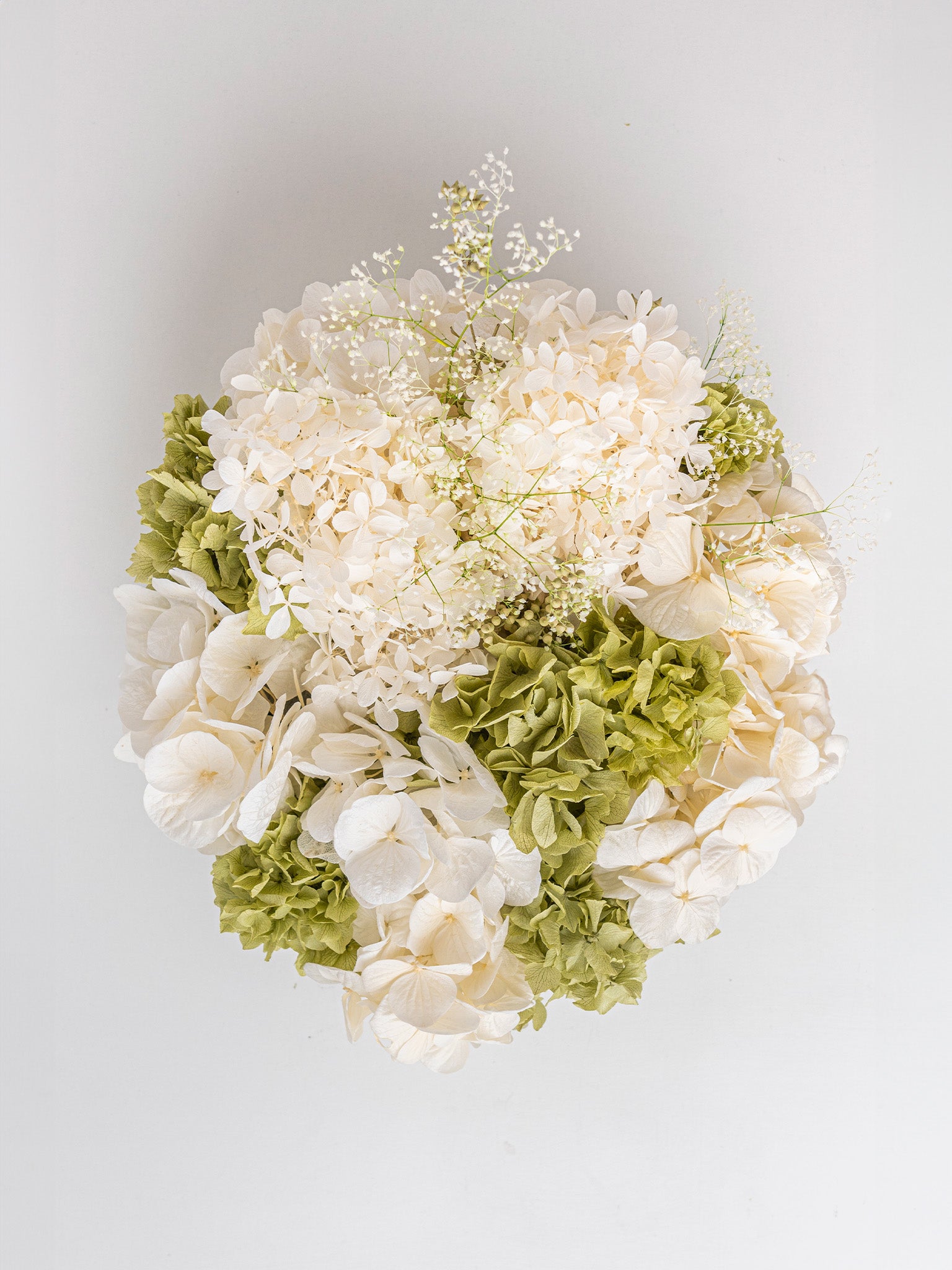 Fairy Dust - Preserved Hydrangea Arrangement - STILLA