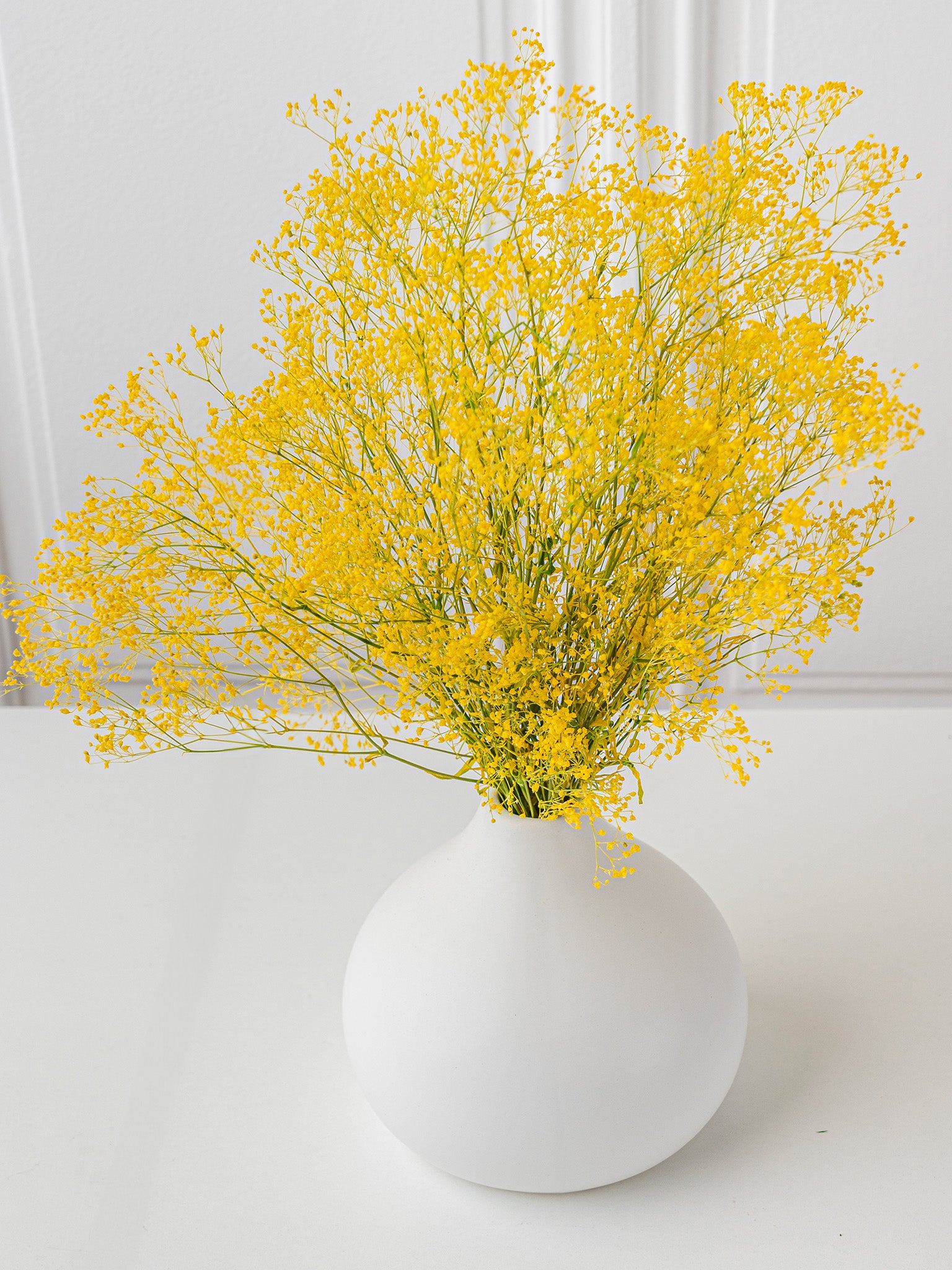 Golden Hour - Preserved Gypsophilia Bouquet - STILLA