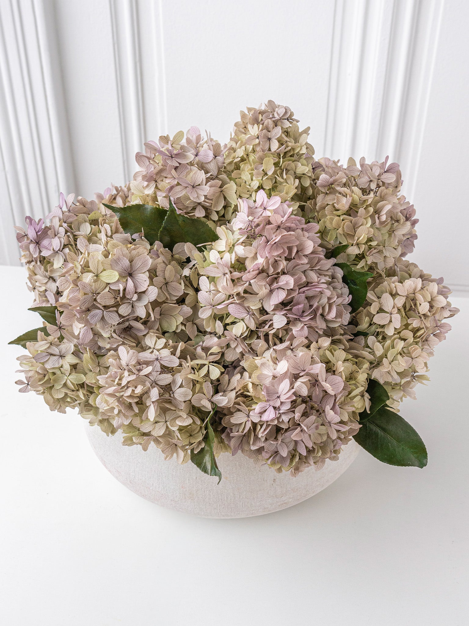 Heirloom - Preserved Hydrangea Arrangement - STILLA