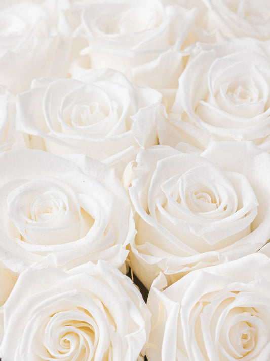 Honeymoon - Preserved Rose Arrangement