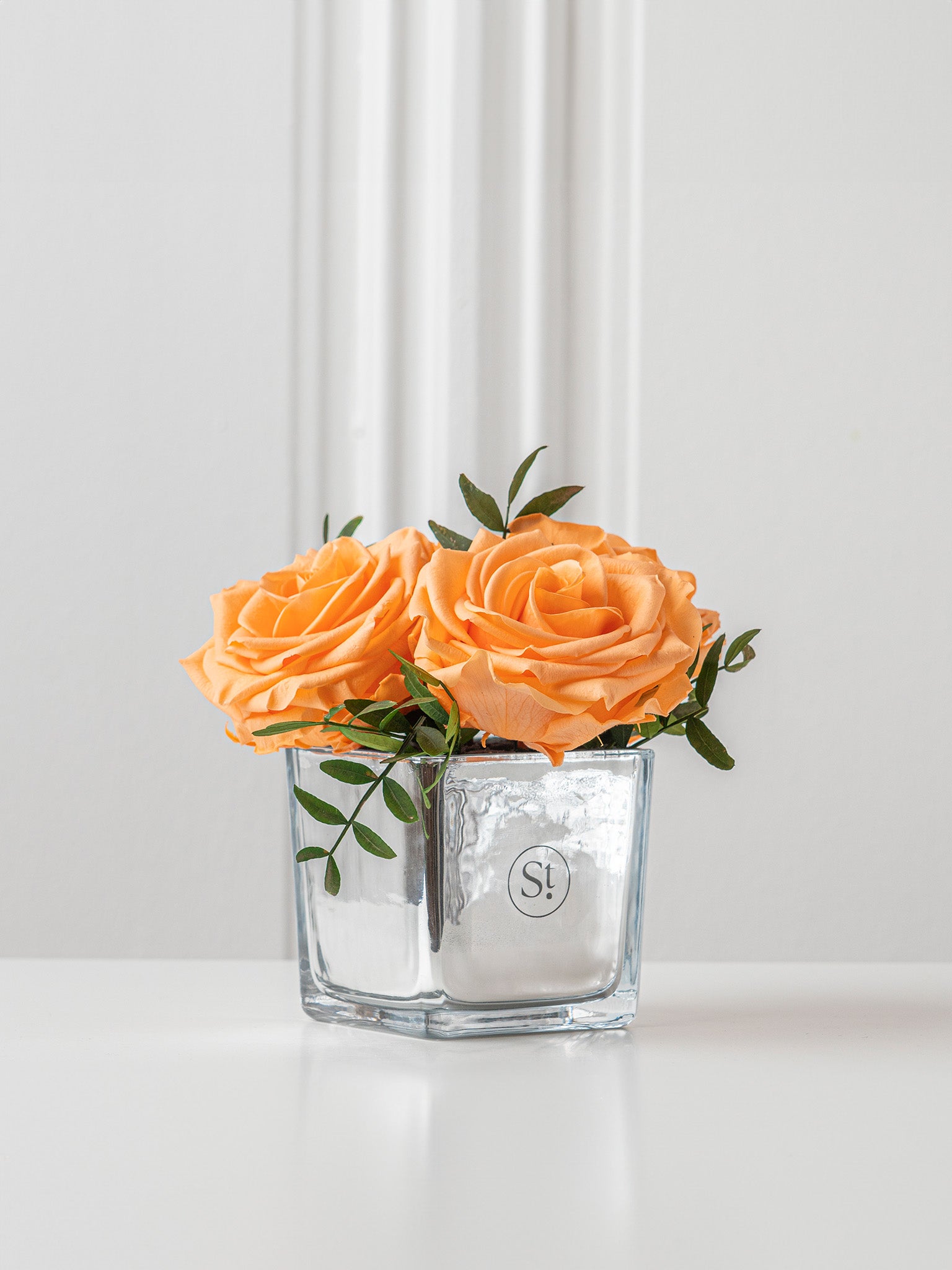 Melody - Preserved Rose Arrangement - STILLA