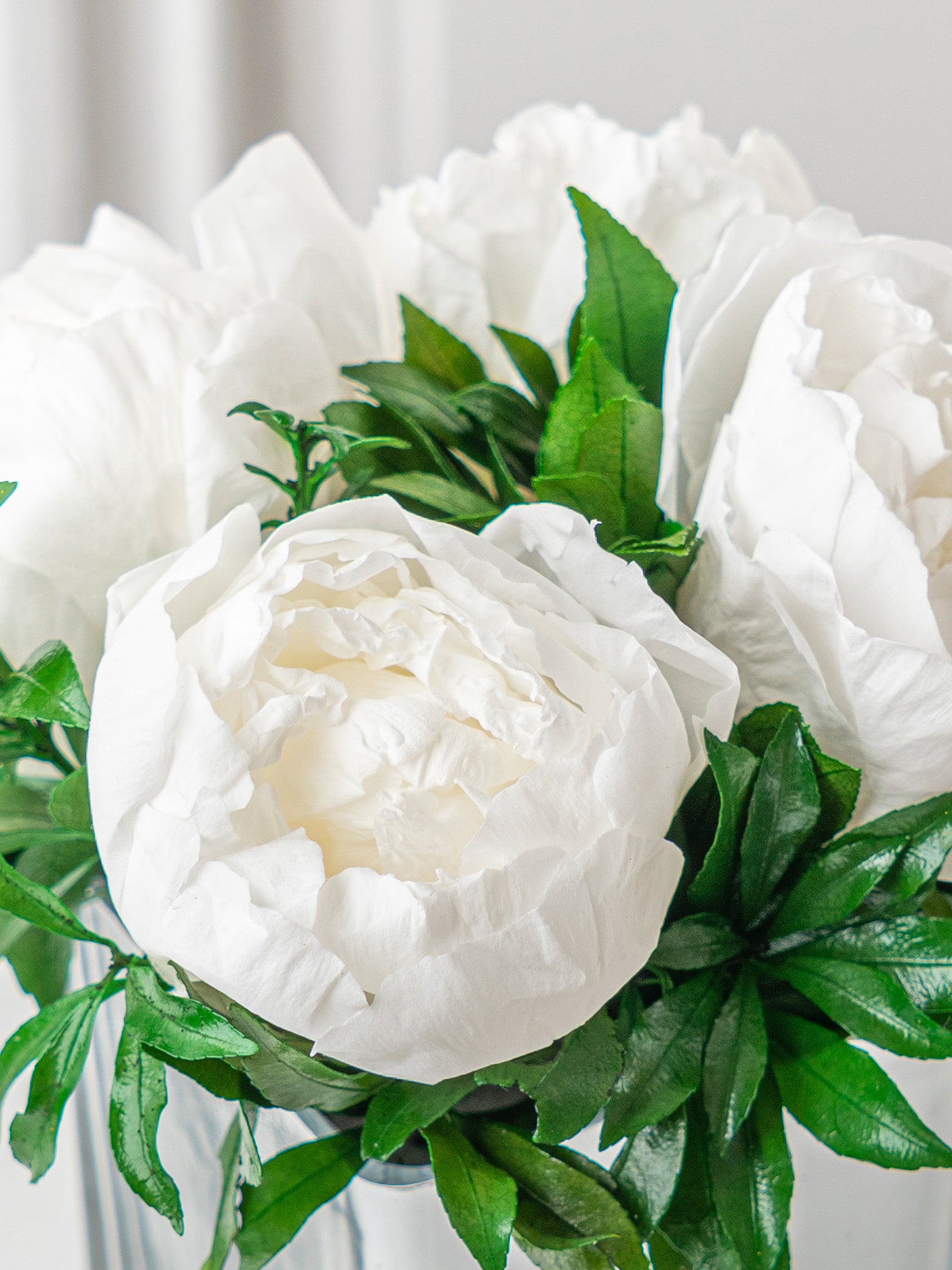 Serenity - Preserved Peony Arrangement - STILLA