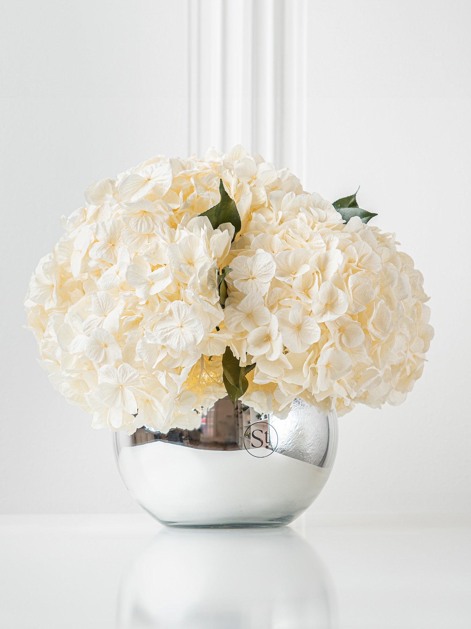 Whisper - Preserved Hydrangea Arrangement - STILLA