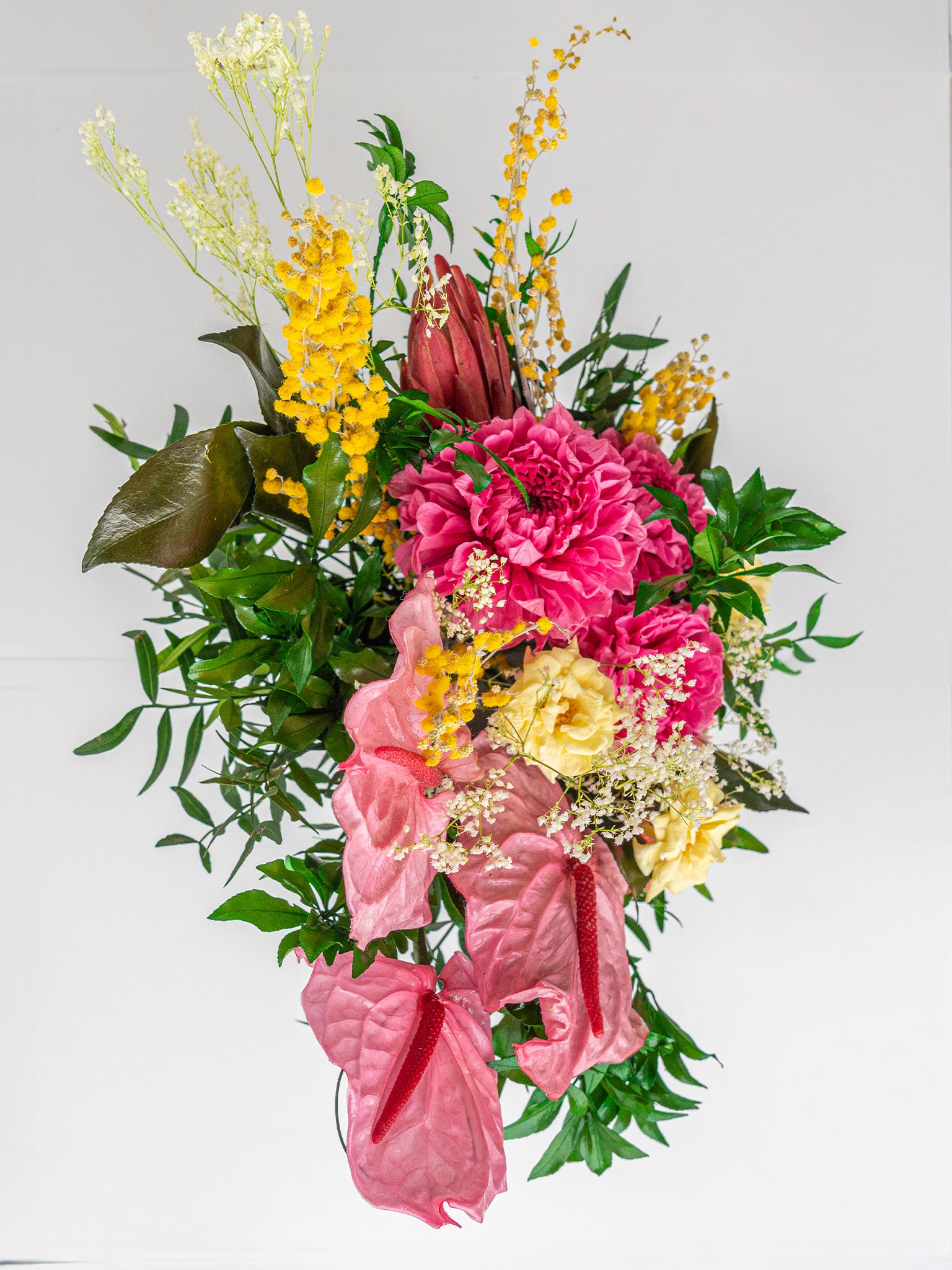 Zest - Preserved Flower Arrangement - STILLA