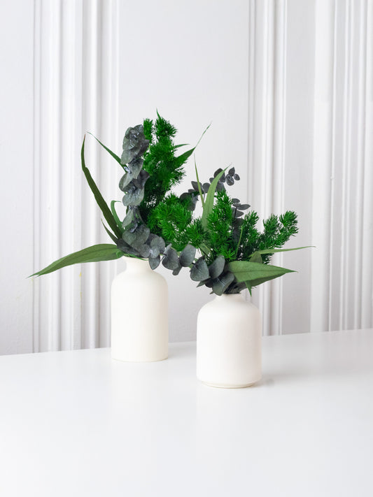 Aura - Eternal Plant Arrangement Set