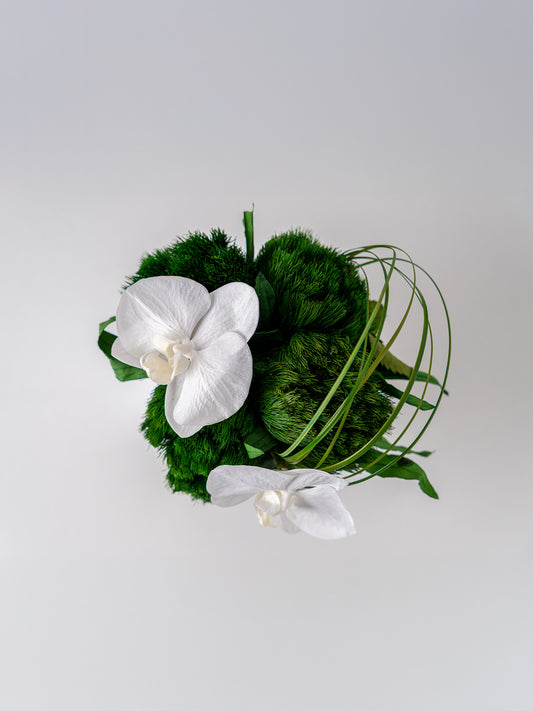 Veil - Preserved Flower Arrangement